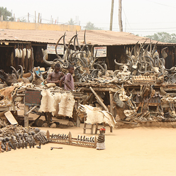 19.) Akodessewa Fetish Market (Togo): Lebih dari separuh populasi Togo mempraktikkan kepercayaan asli dan membutuhkan alat keagamaan yang tidak ditemukan di pasar biasa. Kepala menyusut, tengkorak, daging, dan lainnya dapat ditemukan di pasar jimat seperti itu.