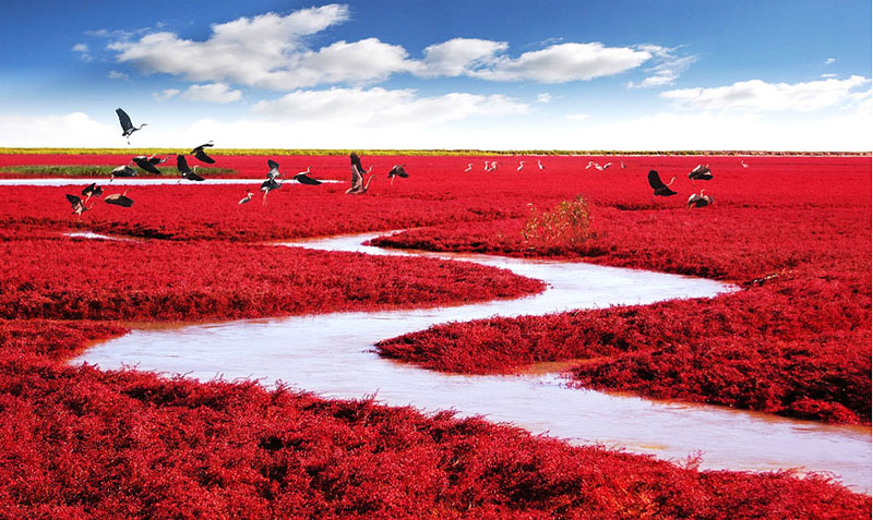 Pantai Merah-Cina