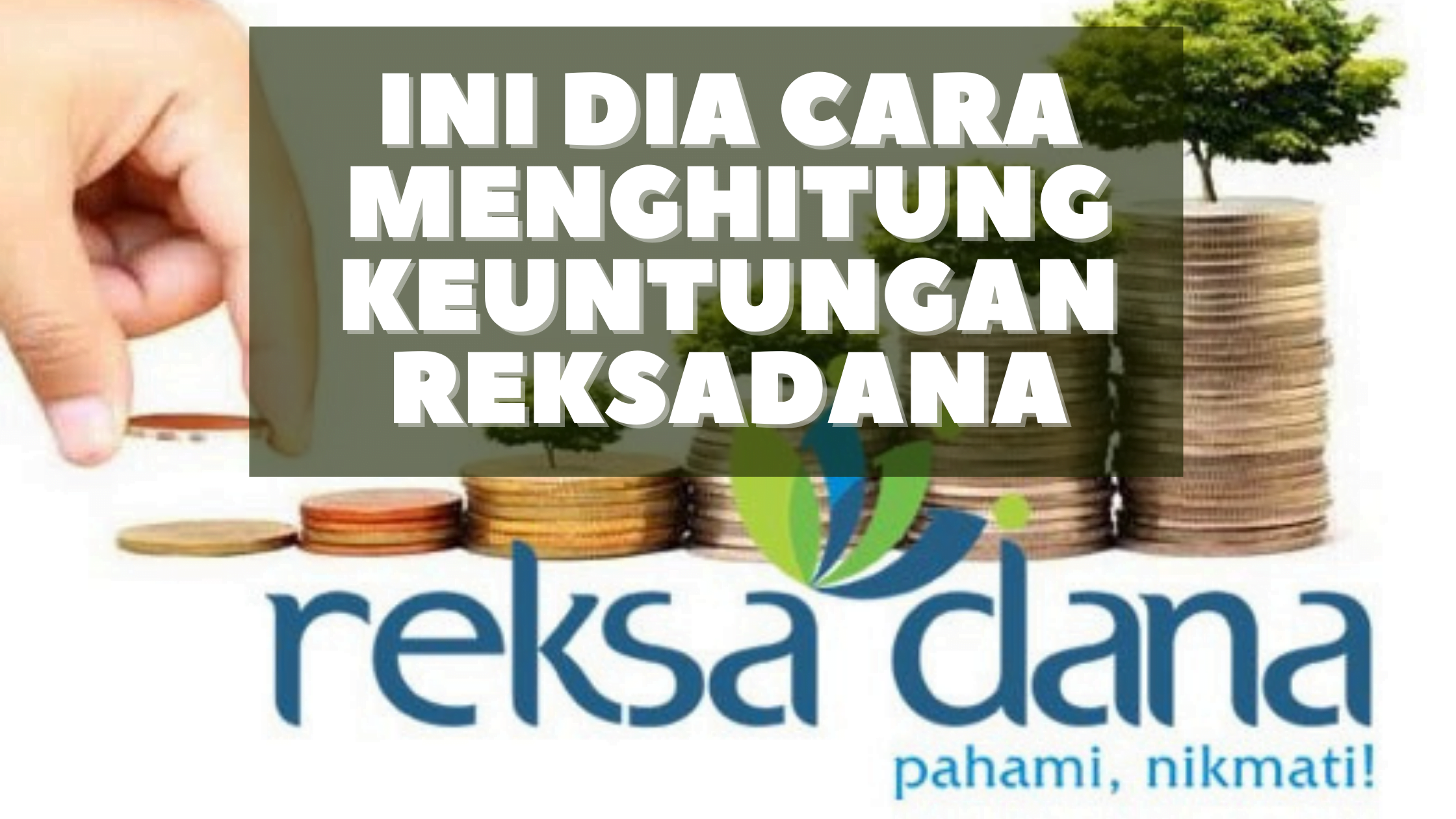 Ini Dia Cara Menghitung Keuntungan Reksadana