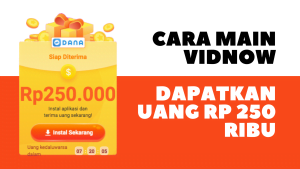 cara main vidnow penghasil uang 250 ribu