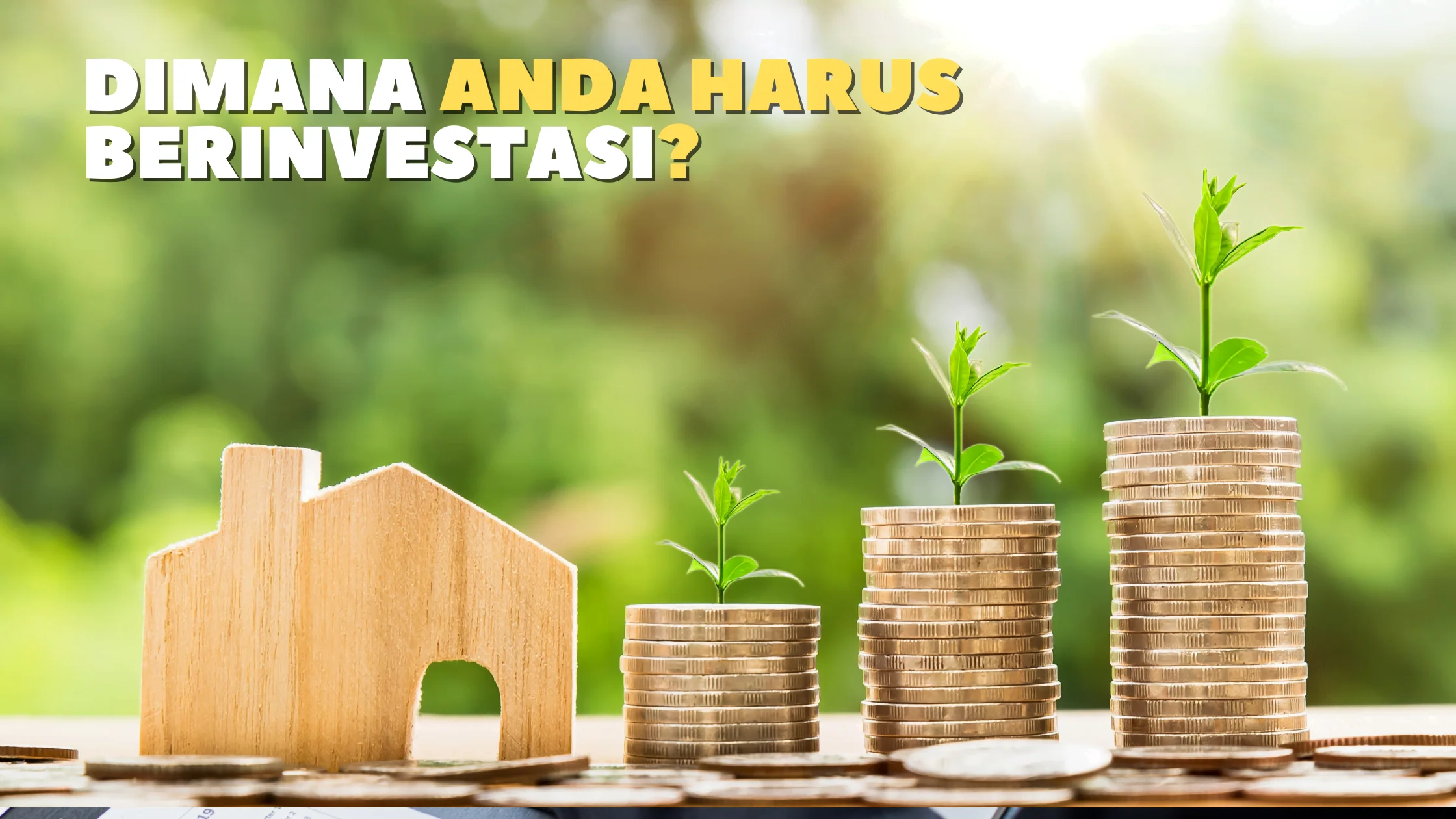 dimana anda harus berinvetasi