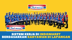 Sistem Kerja di Indomaret Berdasarkan Pengalaman Karyawan di Lapangan