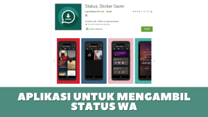 aplikasi untuk mengambil status WA