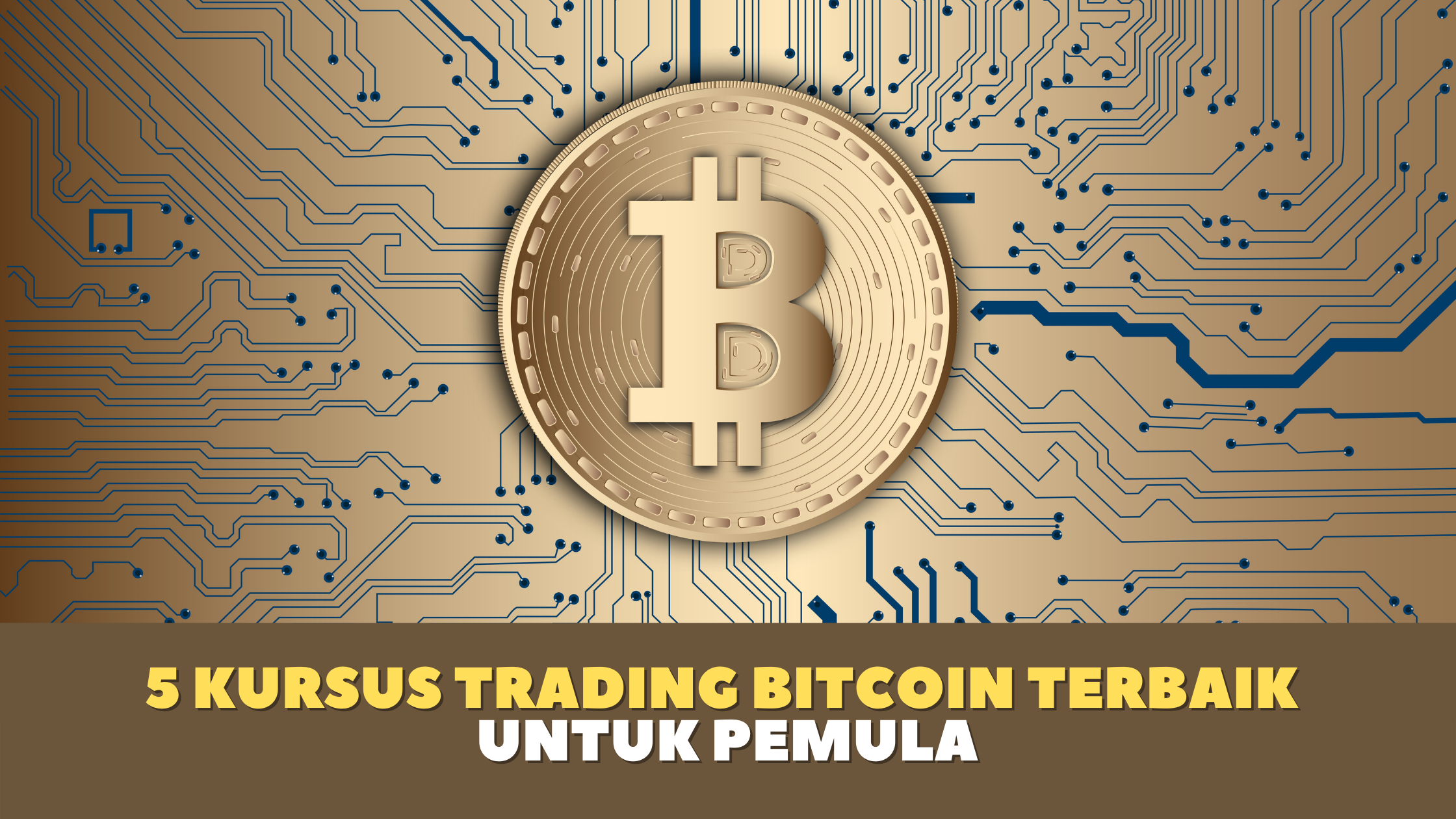 5 Kursus Trading Bitcoin Terbaik Untuk Pemula
