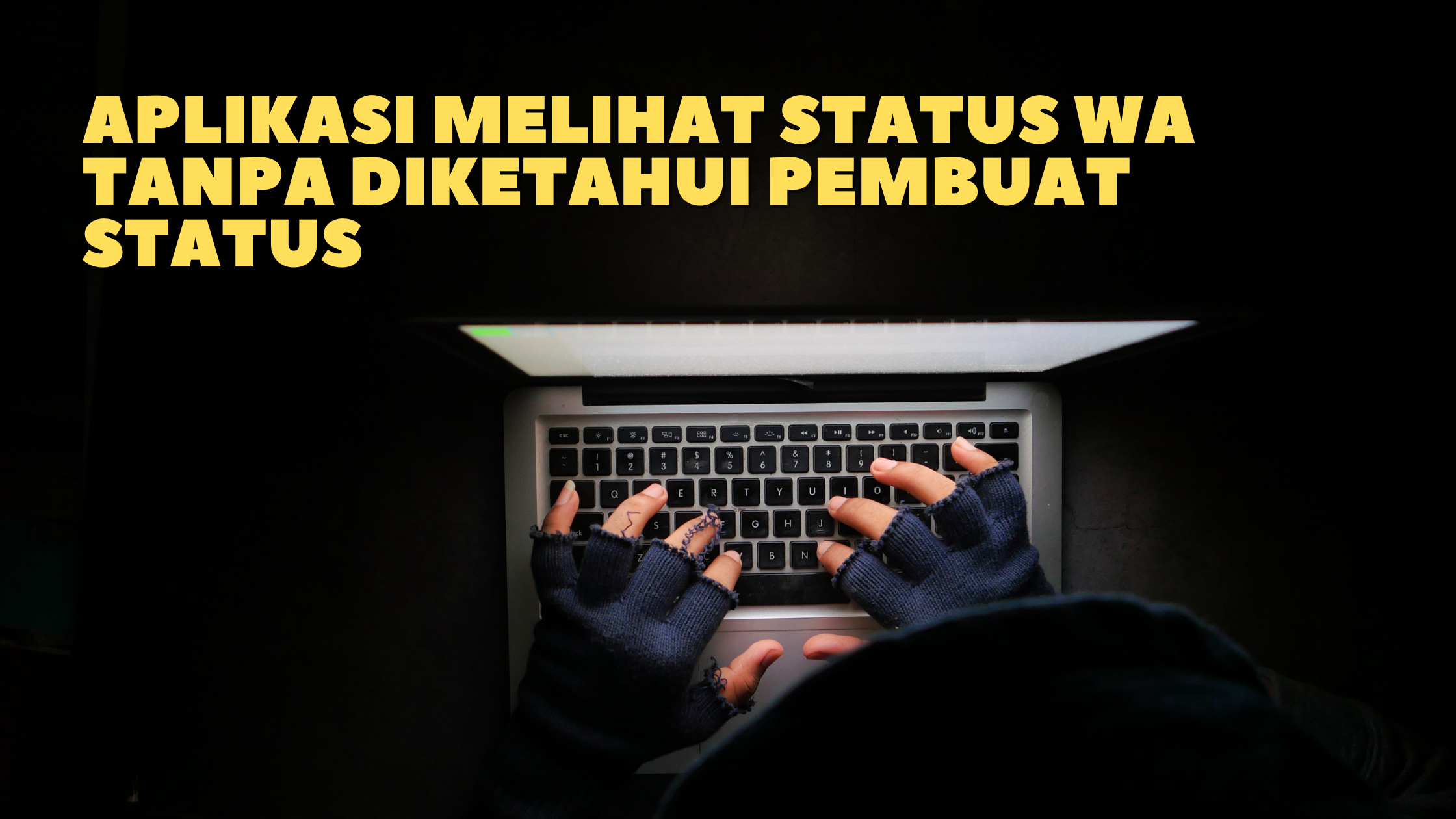 Aplikasi Melihat Status WA Tanpa Diketahui Pembuat Status