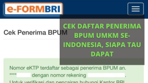 Cara Cek Daftar Penerima BPUM UMKM Se-Indonesia
