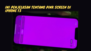 Ini Penjelasan Tentang Pink Screen di Iphone 13