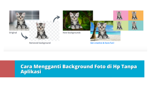 Cara Mengganti Background Foto di Hp Tanpa Aplikasi