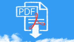 Jenis file e-book yang merupakanstandar keluaran perusahaan Adobe dan sering digunakan sebagai media pembelajaran karena kelebihannya, yaitu mudah pembacaan dan kecil ukuran file-nya dibandingkan dokumen keluaran microsoft word adalah PDF