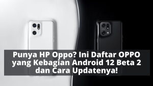 Punya HP Oppo? Ini Daftar OPPO yang Kebagian Android 12 Beta 2 dan Cara Updatenya!
