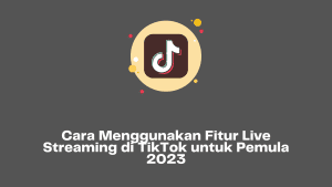 Cara Menggunakan Fitur Live Streaming di TikTok untuk Pemula 2023