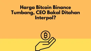 Harga Bitcoin Binance Tumbang, CEO Bakal Ditahan Interpol?