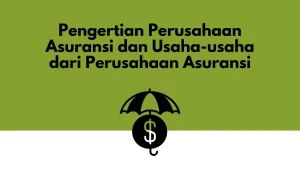 Pengertian Perusahaan Asuransi dan Usaha-usaha dari Perusahaan Asuransi