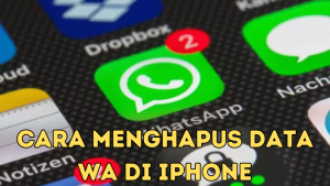 Cara Menghapus Data WA di iPhone