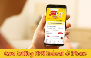 Cara Setting APN Indosat di iPhone