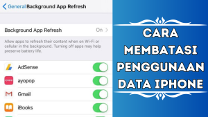 Cara Membatasi Penggunaan Data iPhone