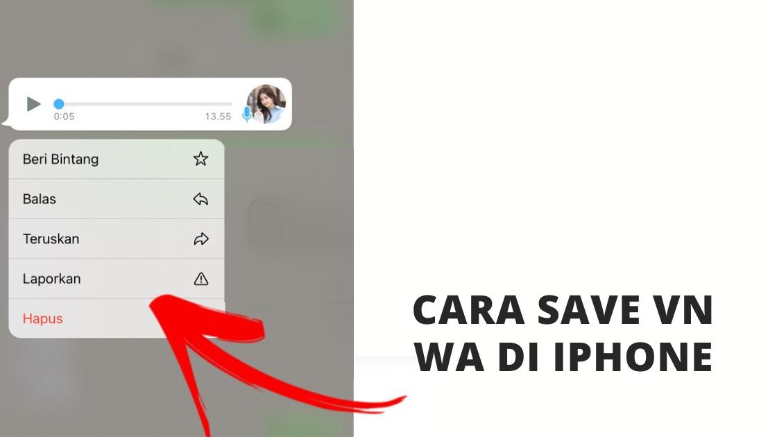 Cara Save VN WA di iPhone