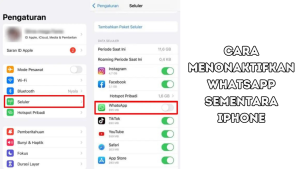 Cara Menonaktifkan WhatsApp Sementara iPhone