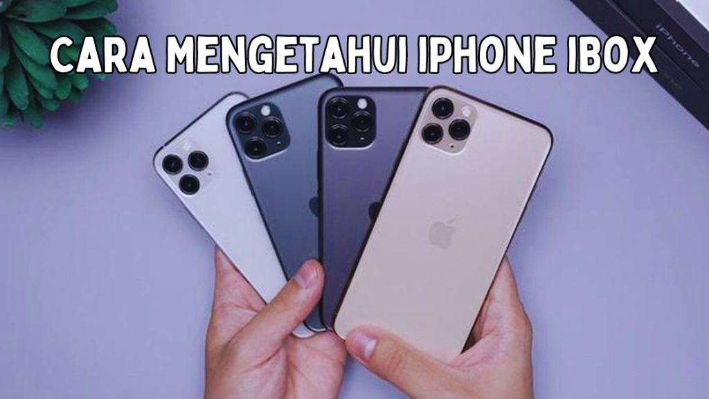 Cara Mengetahui iPhone iBox