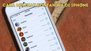 Cara Melihat Kontak WA di iPhone