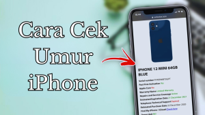 Cara Cek Umur iPhone