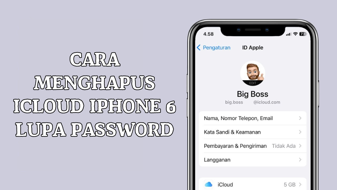 Cara Menghapus iCloud iPhone 6 Lupa Password